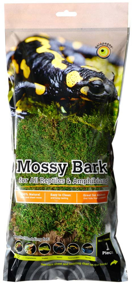 Galápagos Basking Bark, Sheet Moss, 1 Pc.