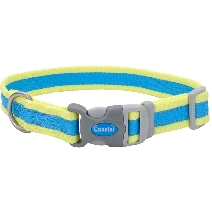 Coastal Pet - Pro - Reflective Adjustable Dog Collar, Aqua with Neon