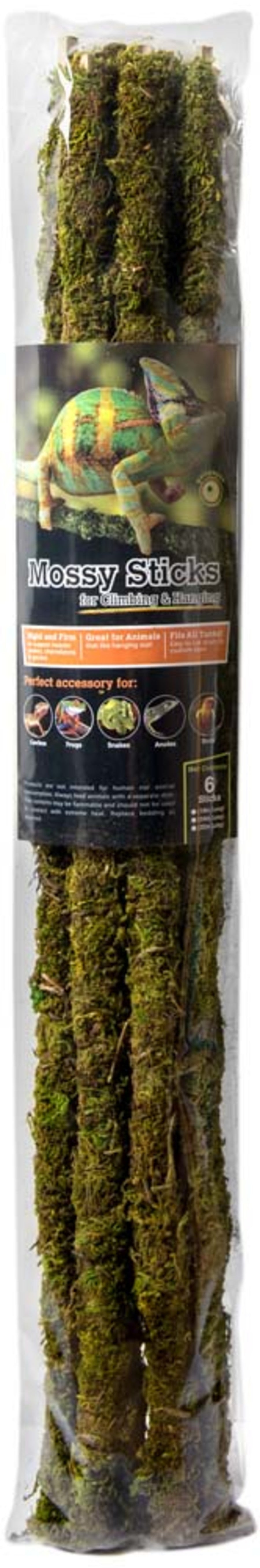 Galápagos Mossy Terrarium Sticks