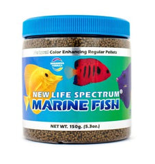 New Life Spectrum Cichlid