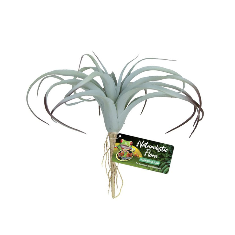 Zoo Med Naturalistic Flora® Tillandsia Air Plant