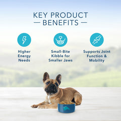 Blue Buffalo Life Protection Natural Chicken & Brown Rice Recipe Small Breed Adult Dry Dog Food