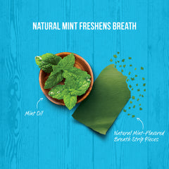 Merrick Fresh Kisses Grain Free Mint Breath Strips Large Dental Dog Treats