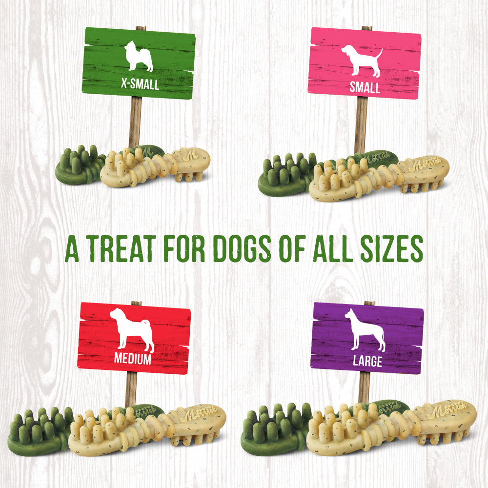 Merrick Fresh Kisses Grain Free Mint Breath Strips Large Dental Dog Treats